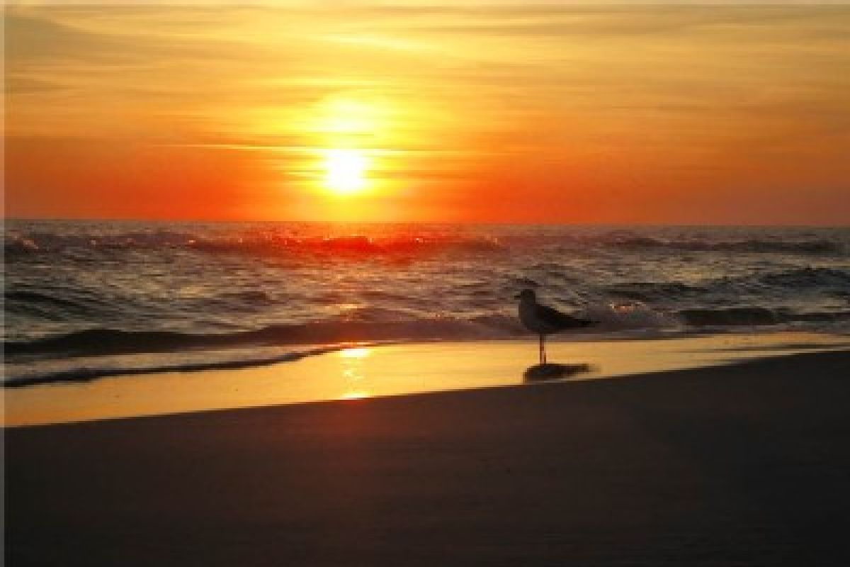 Sunset on the Gulf beach at Sandestin, a tram ride from the front door
