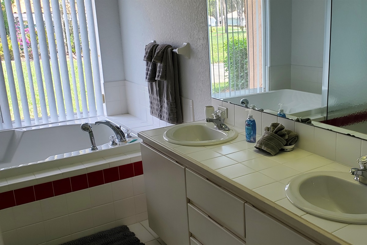 Master bedroom ensuite/private bath with sunk-in tub