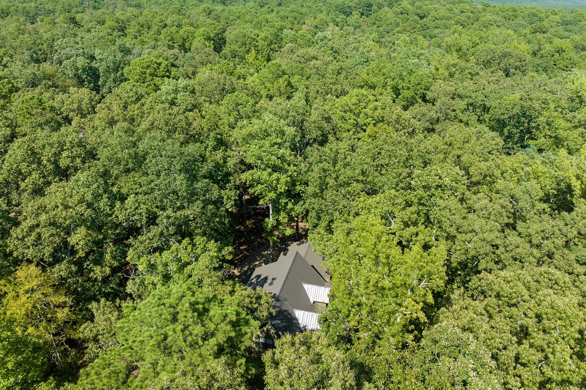Deer Valley sits on over 4 acres!  You won't find privacy like this!
