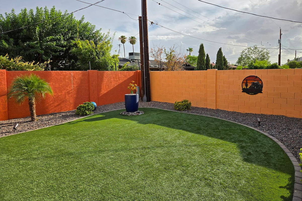 Backyard