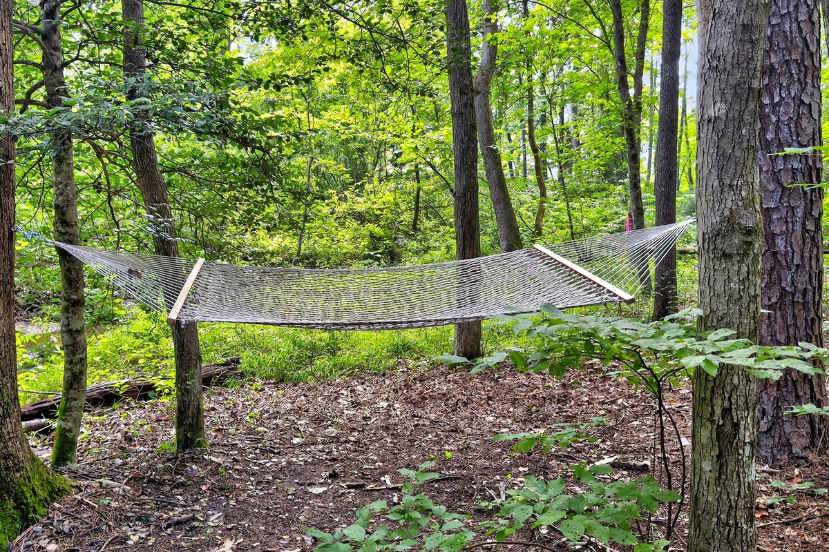 Relax in the hammock.