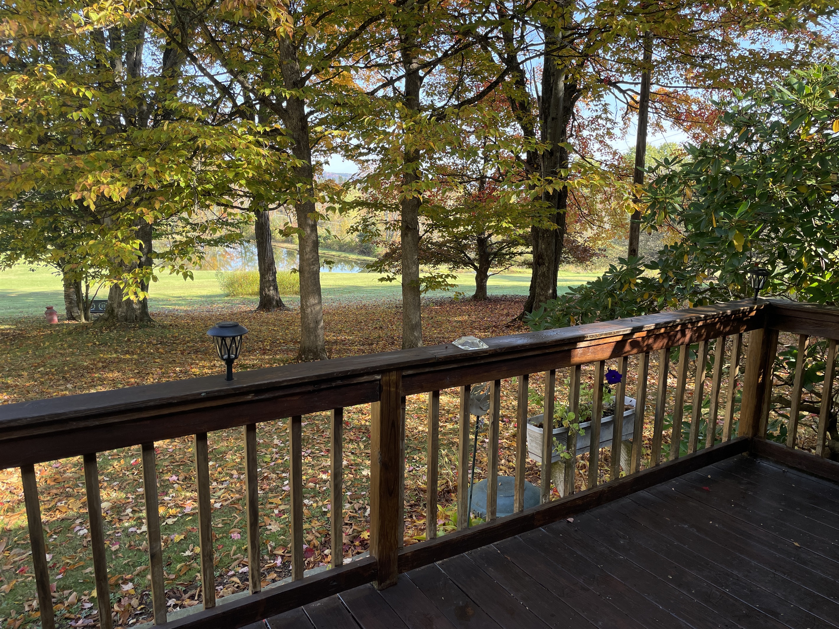 Pond view from front deck