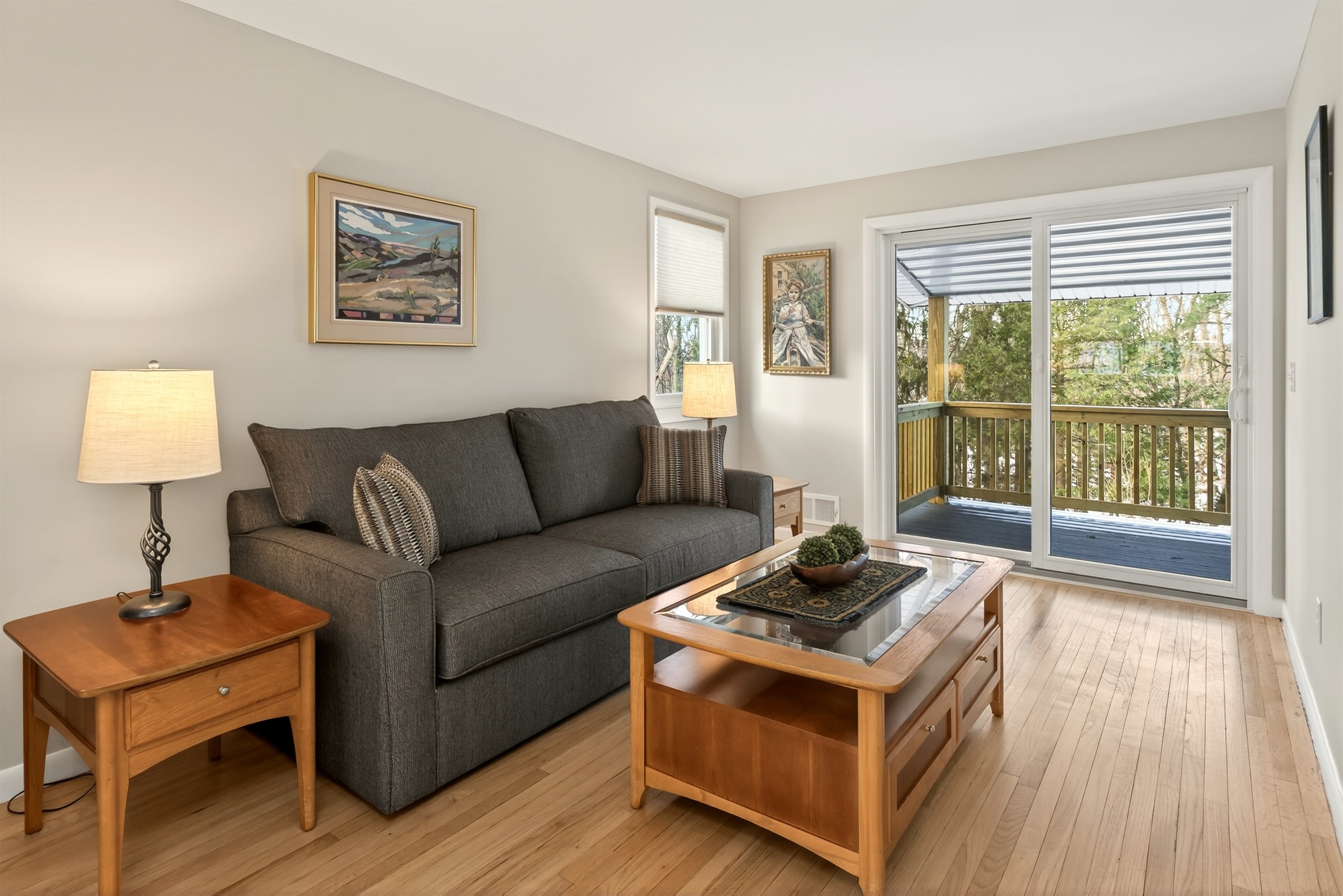 Secondary sitting area with Queen fold out sofa