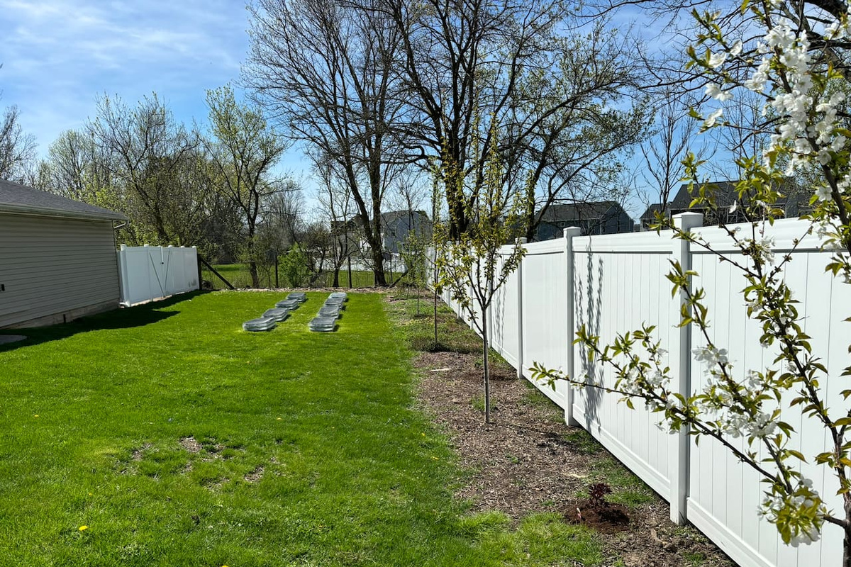 Quiet and secluded backyard with fruit trees, strawberries, and wildlife.