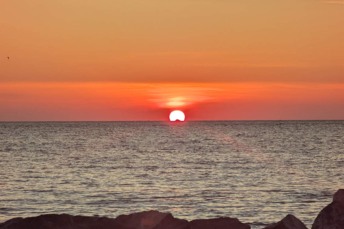 A special guest captured this moment during a morning sunrise! 