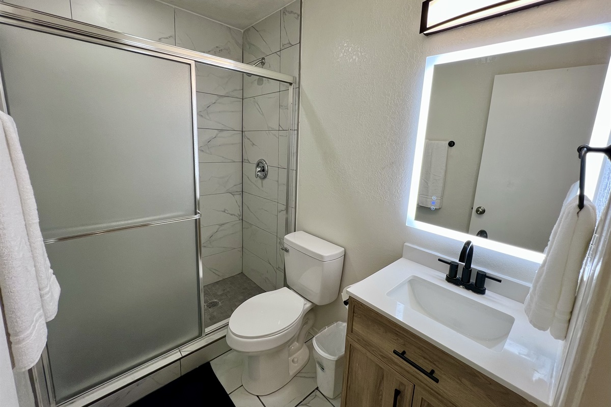 Bathroom #2 - new LED mirrors