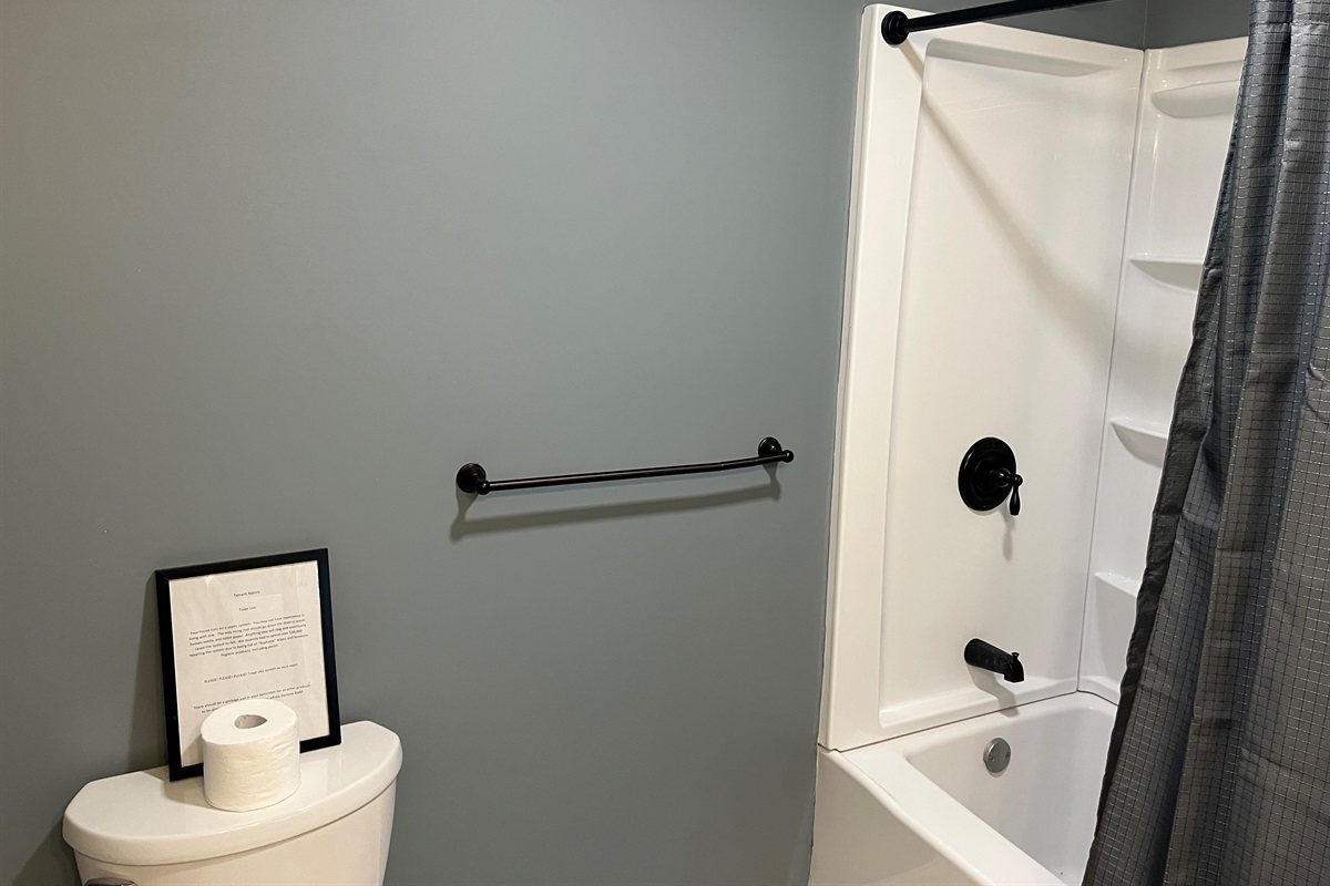 Renovated bath in Family suite