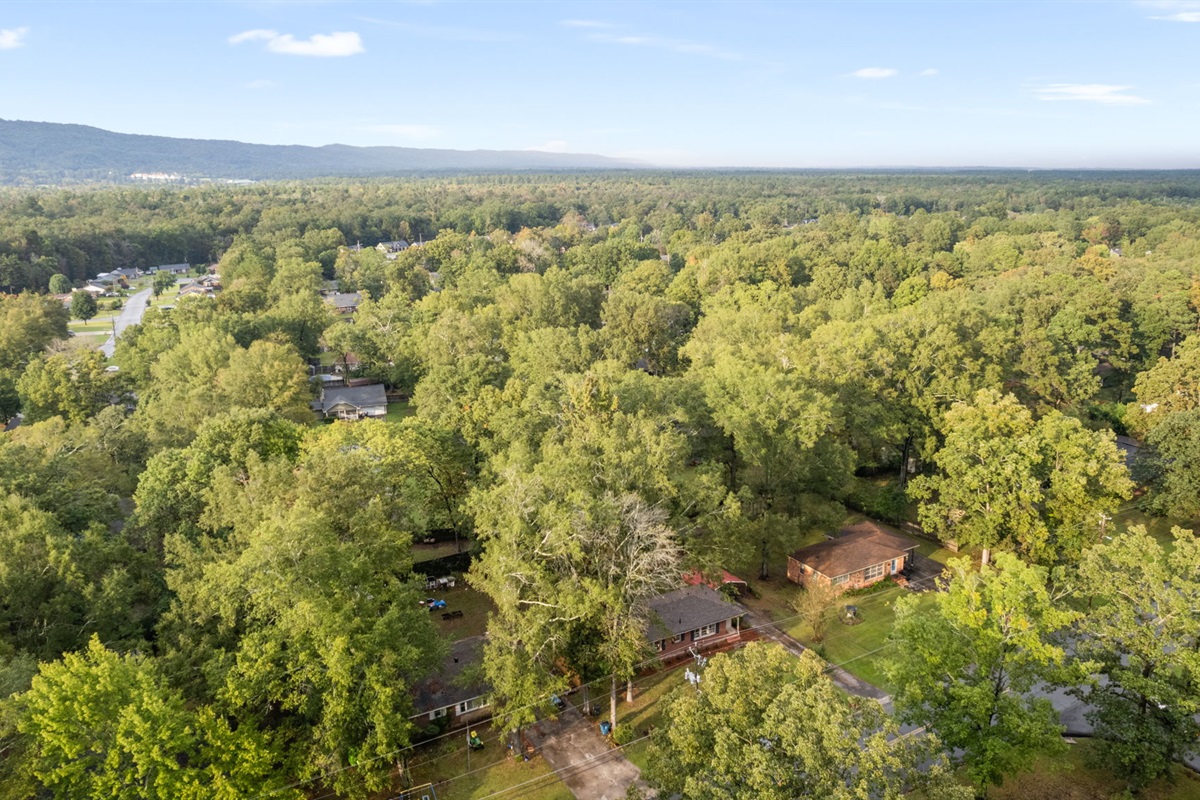 Aerial View of The Cottage on Elliott