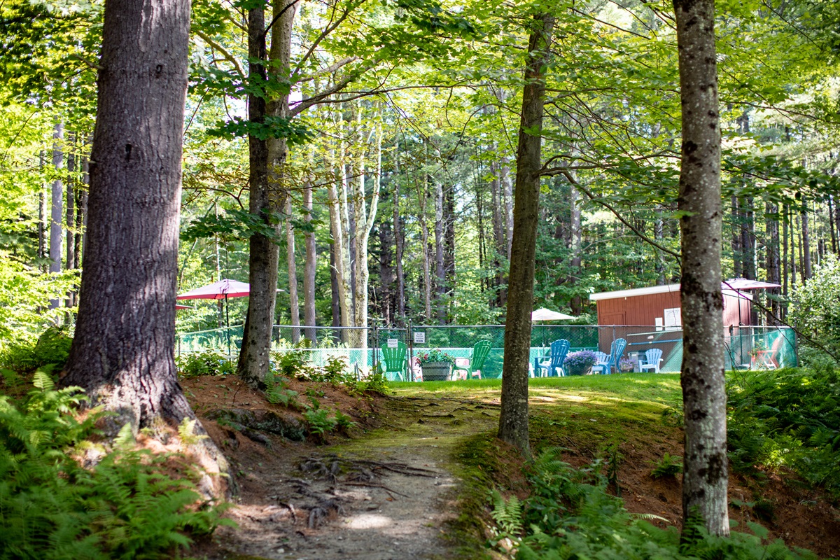 Venture out to the pool tucked away in the trees