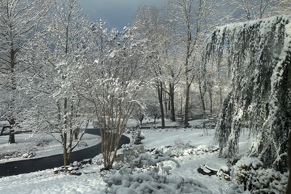 Beautiful winter views of property.