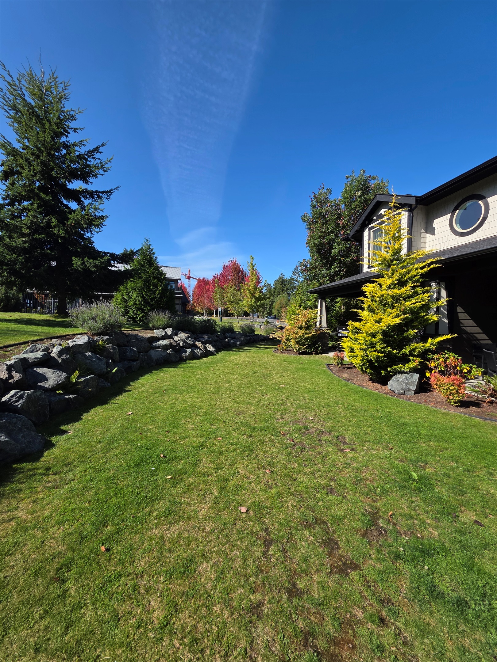 Beautiful Backyard. Green space.