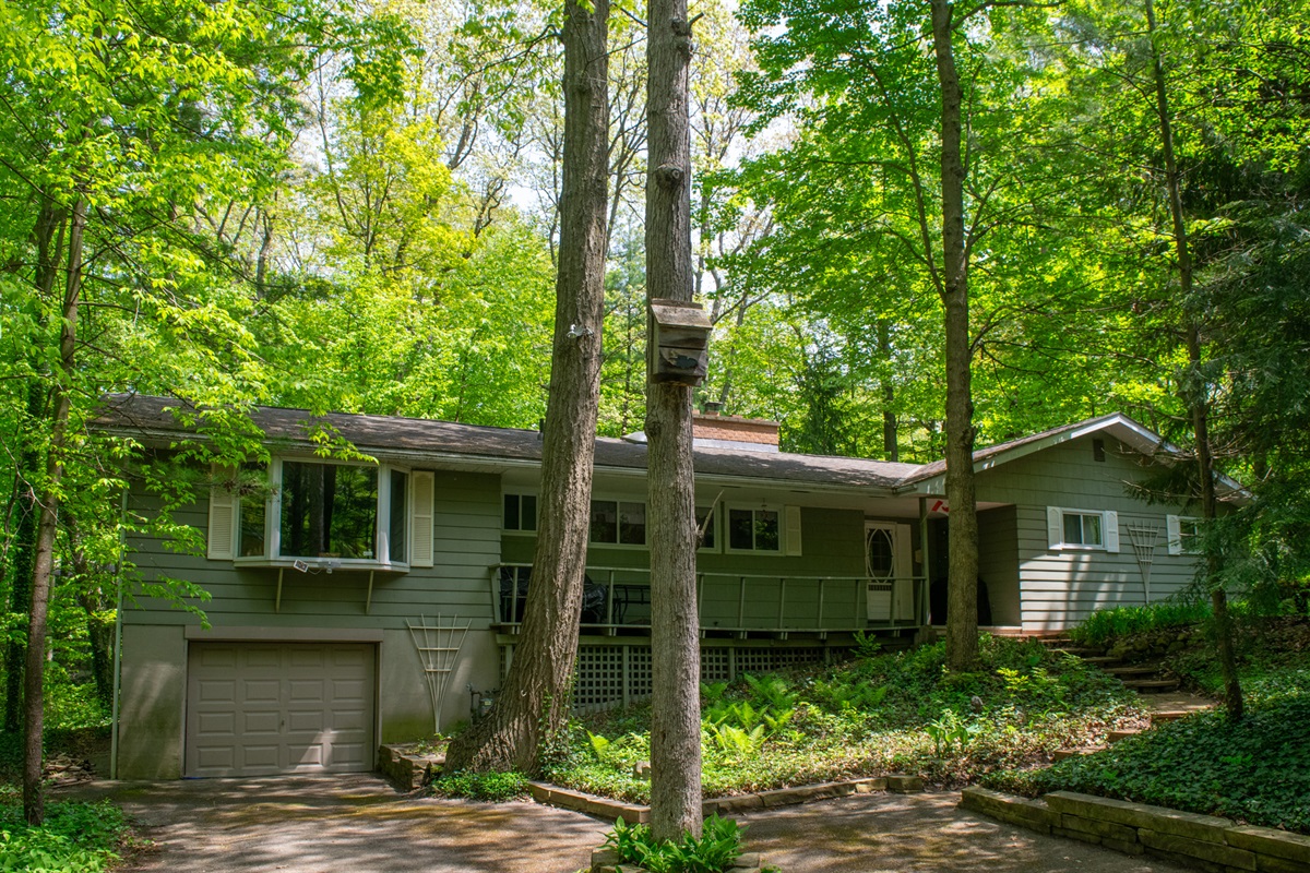 7f843beba727498ab3f005025b10ec4c Large