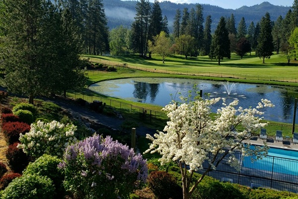 View of the pond and pool