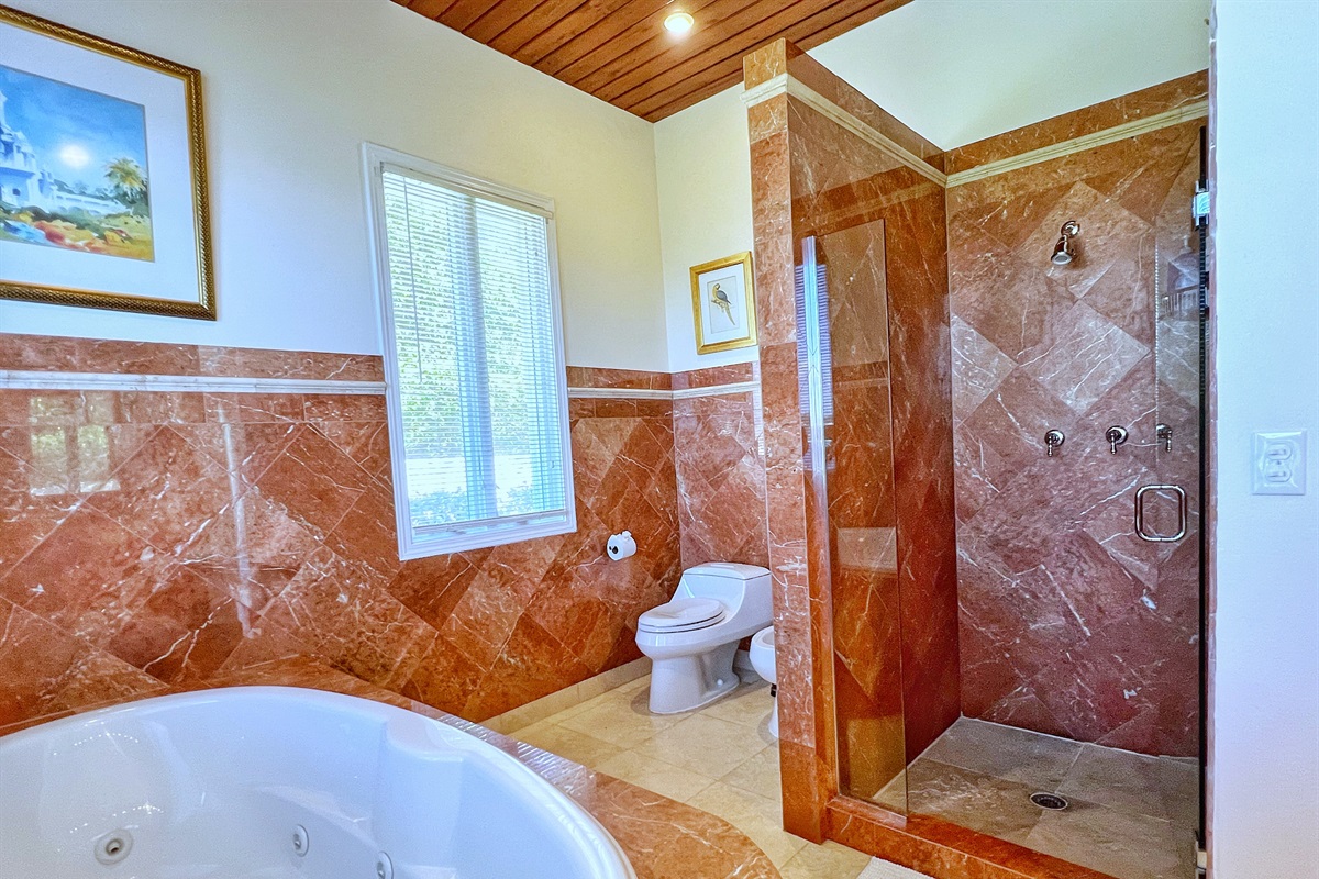 Large walk-in shower.