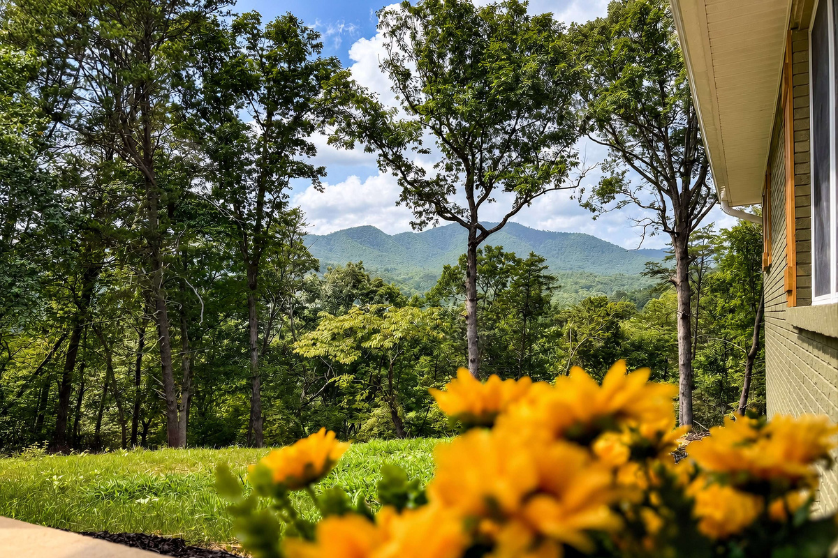 enjoy a view into Great Smoky Mountains National Park!
