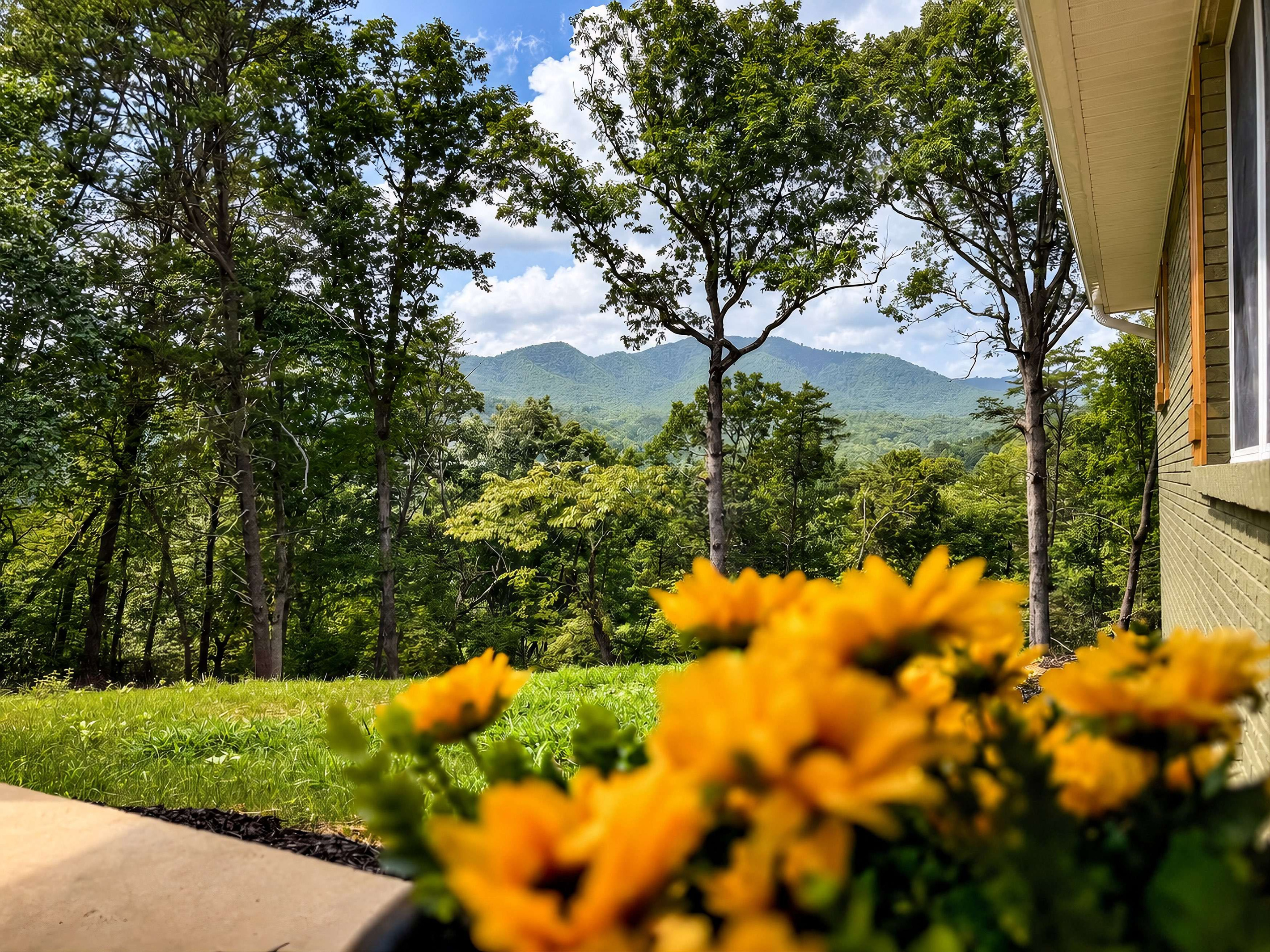 enjoy a view into Great Smoky Mountains National Park!