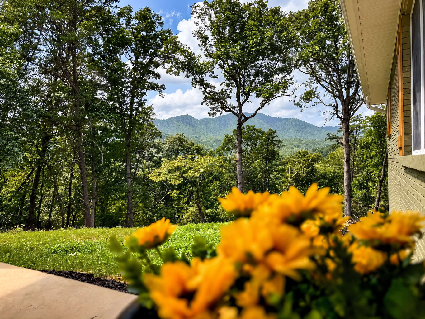 enjoy a view into Great Smoky Mountains National Park!