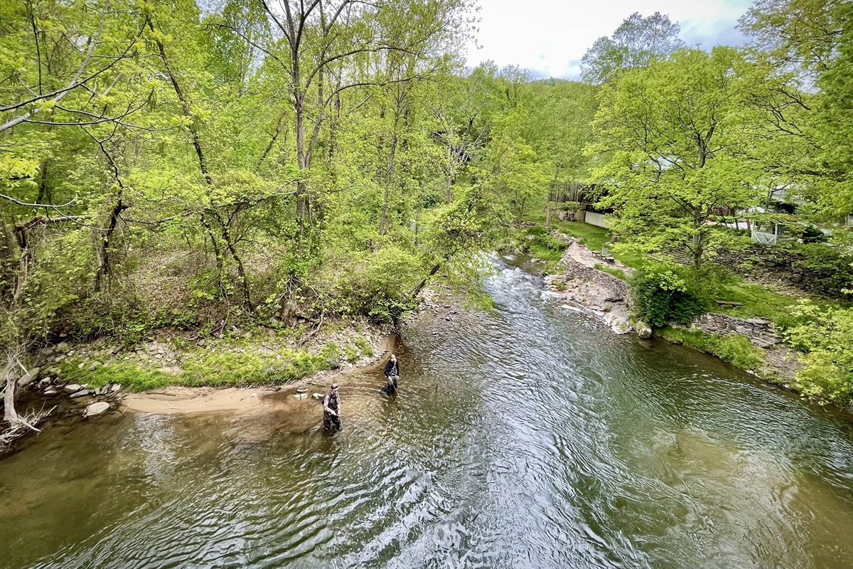 Spring Creek below the house