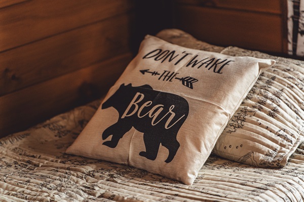 Don't Wake The Bear(s)!