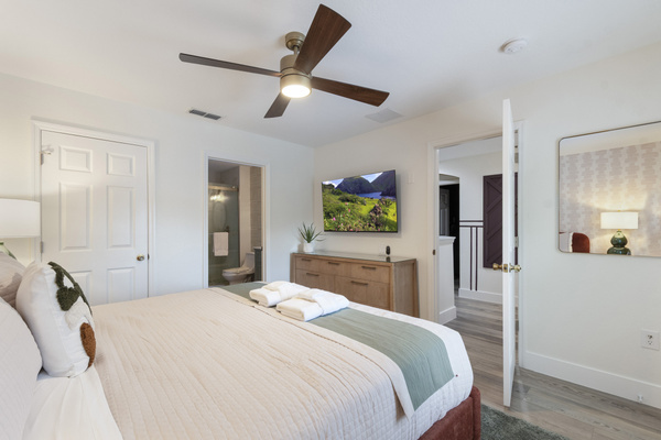 Watch TV