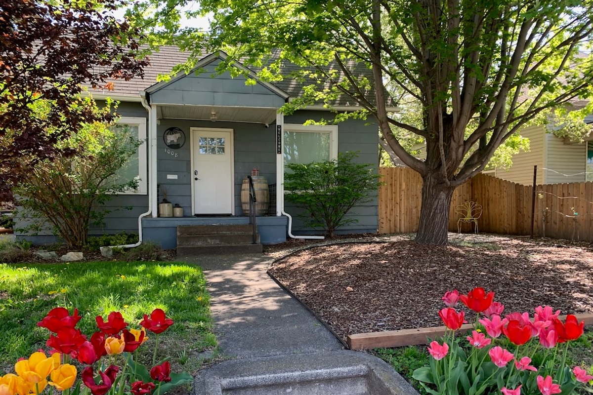 Quaint and cozy entrance & shaded front yard. 