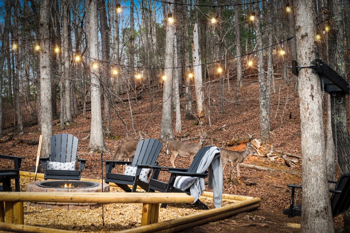 This space brings people together, creating lasting memories under the open sky.