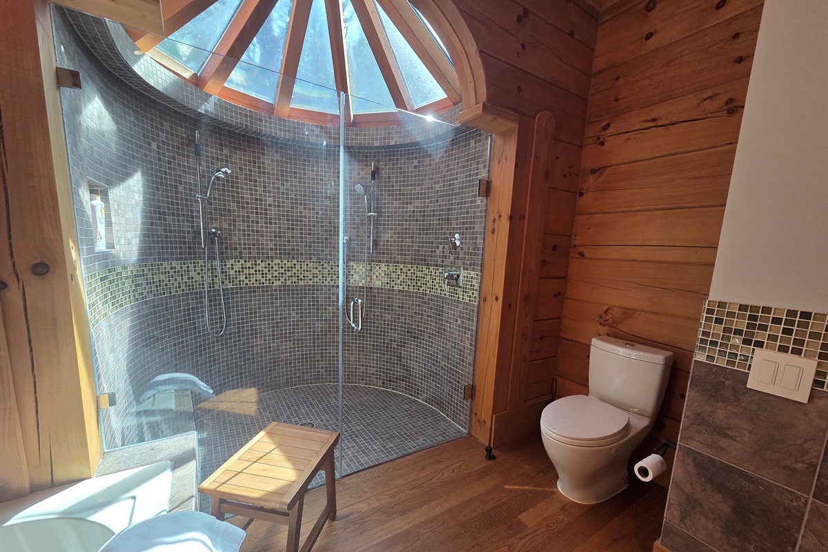 Spa-like second bedroom bathroom with a soaking tub and a large walk-in shower.