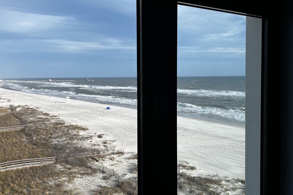 Secondary Bedroom's View