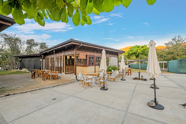 4BR Luxury Villa | Private Pool + Terrace | Las Catalinas