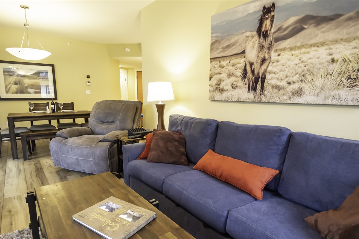 king sleeper sofa and power recliner