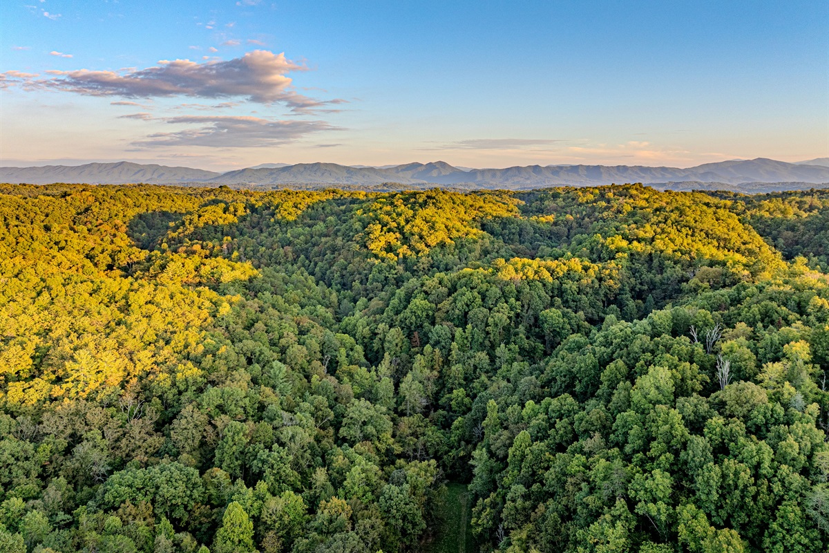 Witness the majesty of the Smokies. This incredible aerial perspective showcases the vast, green forests and rolling mountains that surround your peaceful glamping retreat.