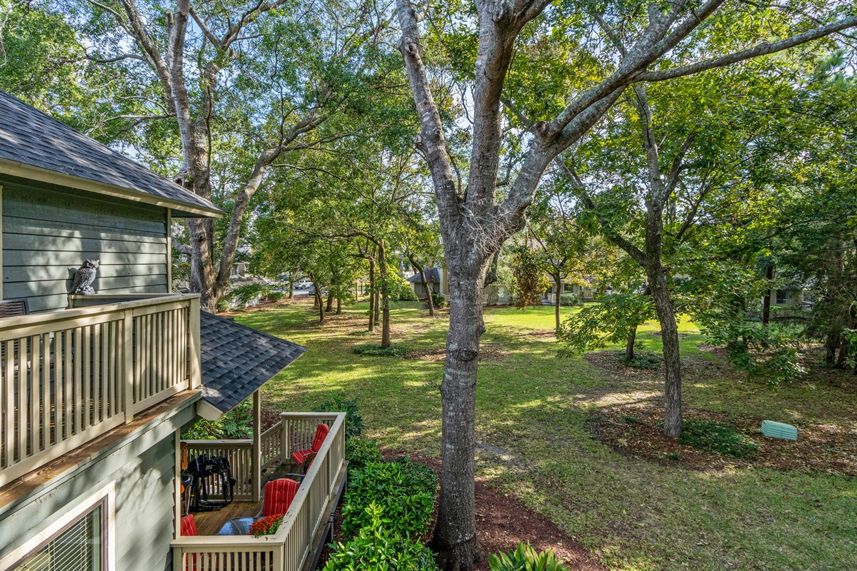 Back Deck / Yard