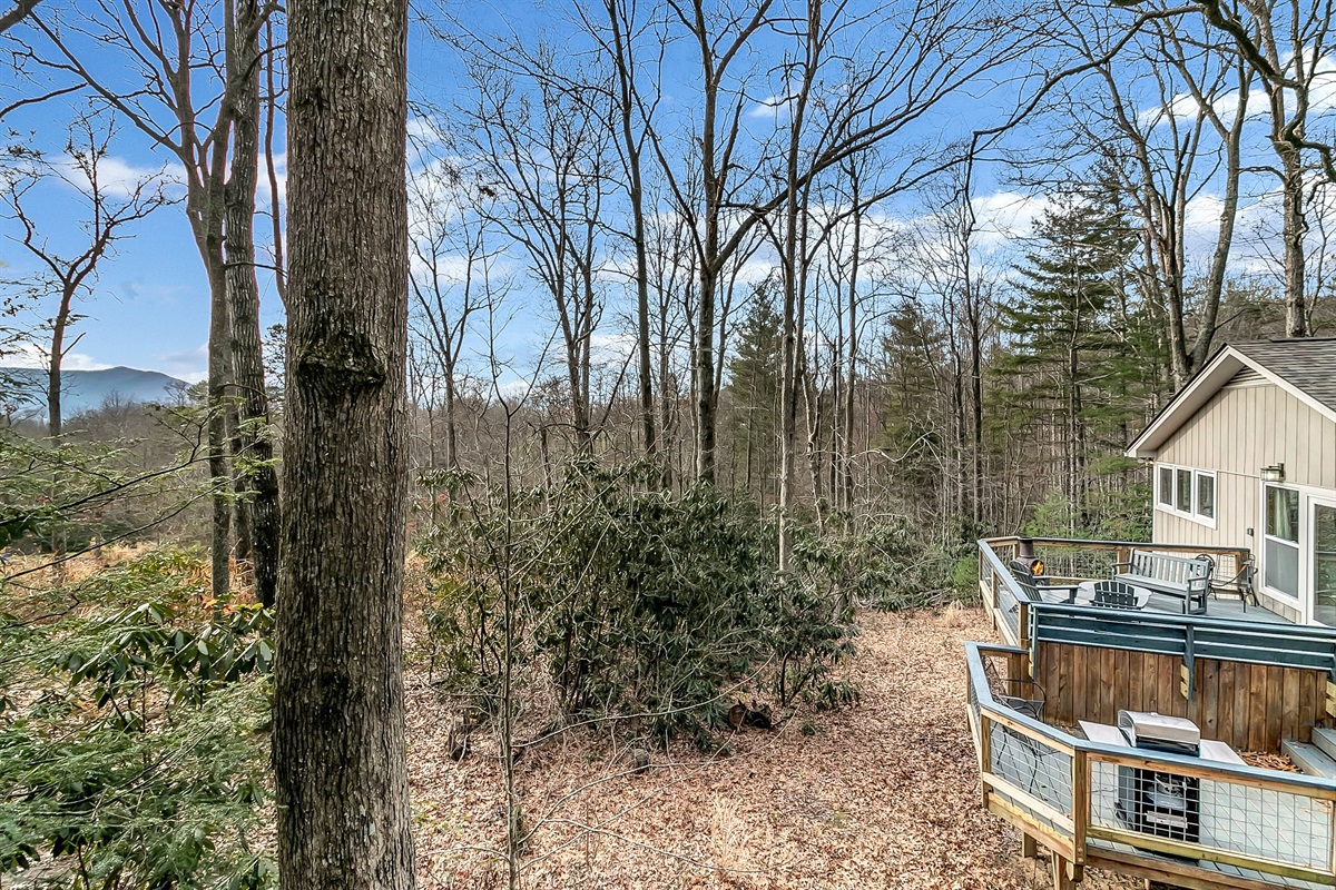 View from "treehouse"