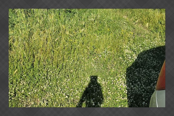 Perfect place for a morning walk