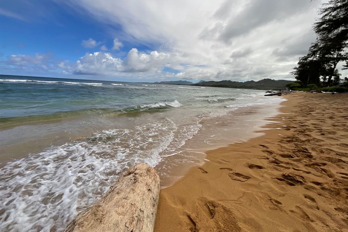 The beach in front of the condo.