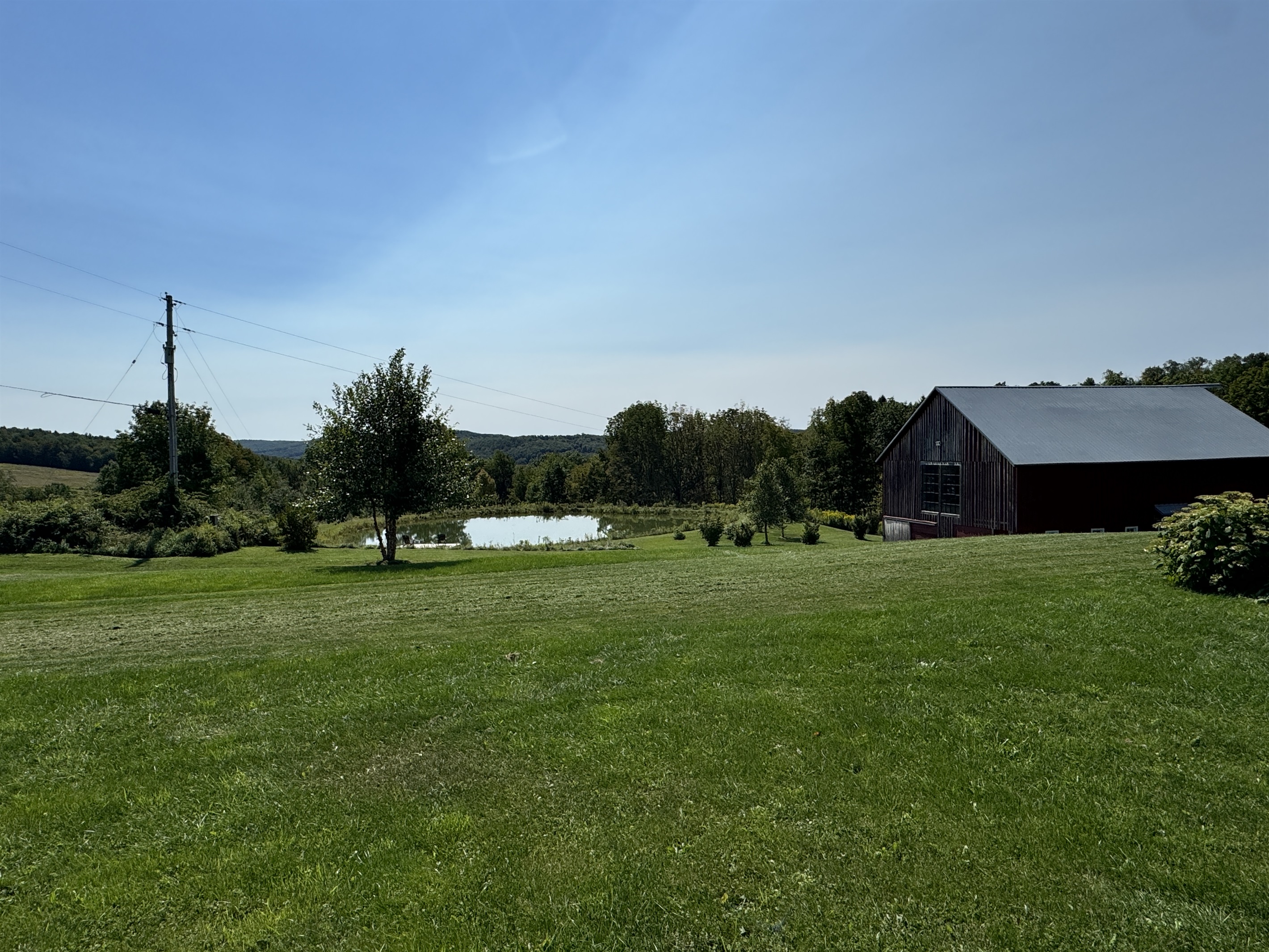 Back lawn and pond