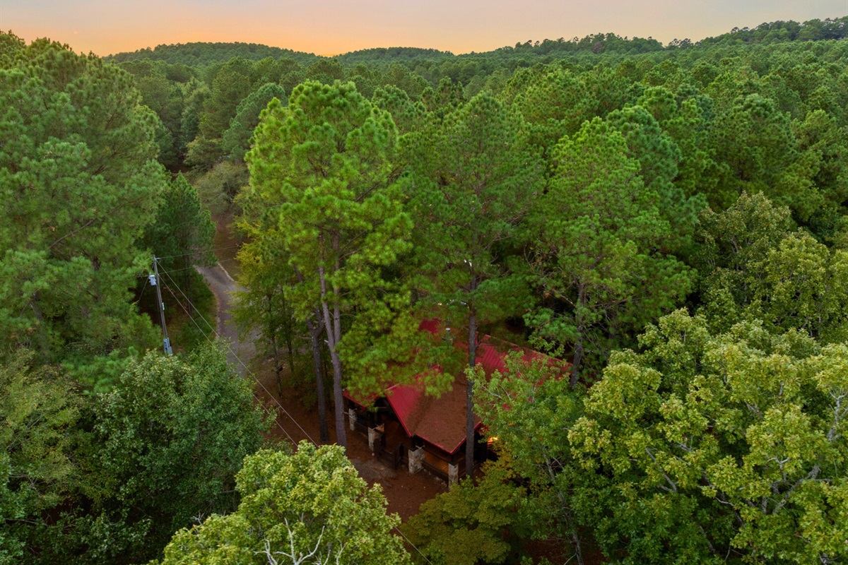 A hidden escape in the trees—your cozy cabin oasis awaits.