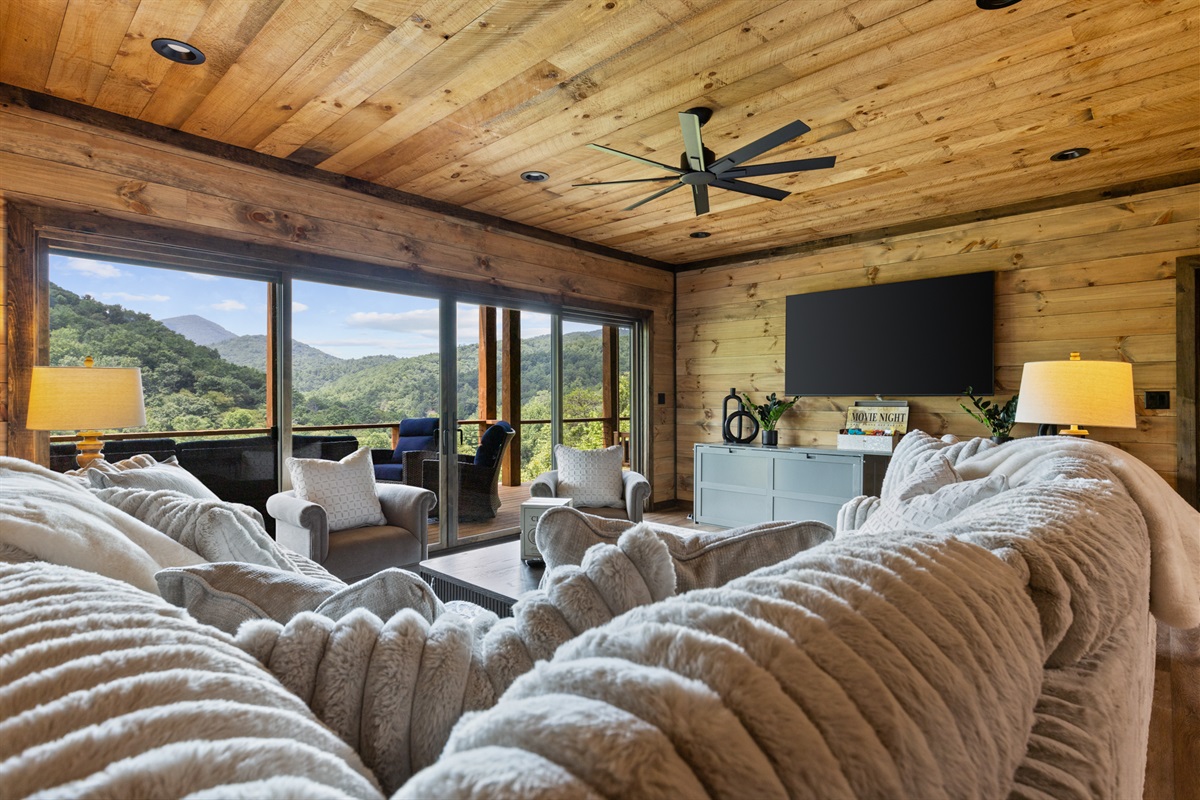 Lower level living room