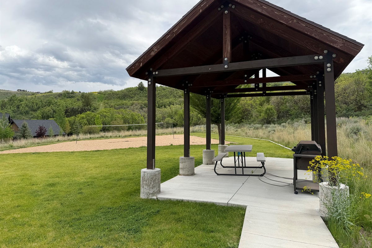 Community Volleyball Court and Picnic Area