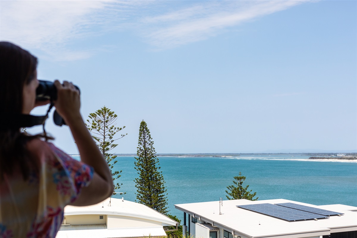 Watch whales, dolphins, turtles and ships from the comfort of your breathtaking balcony.