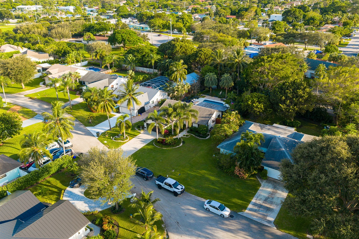 Step into your own resort-style backyard &mdash; palm trees, sunshine, and total relaxation await.
