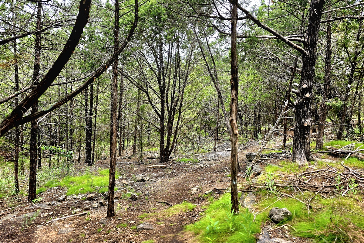 Walking trails