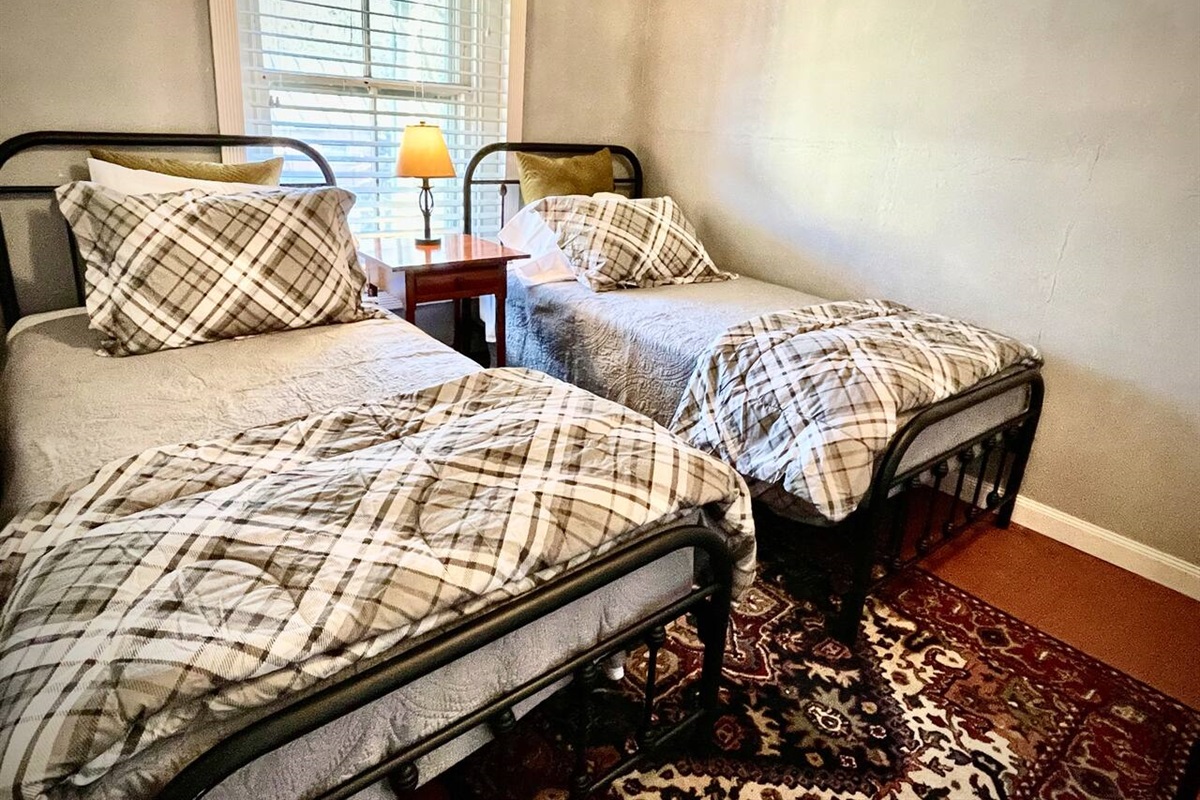 2nd bedroom with 2 twin beds
