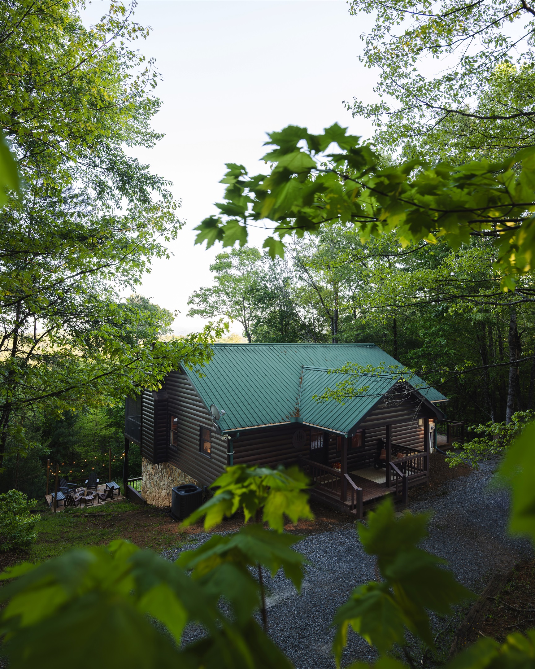 🌲 Tucked in the trees. Private mountain cabin surrounded by forest.