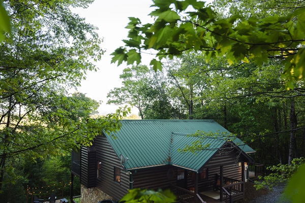 🌲 Tucked in the trees. Private mountain cabin surrounded by forest.