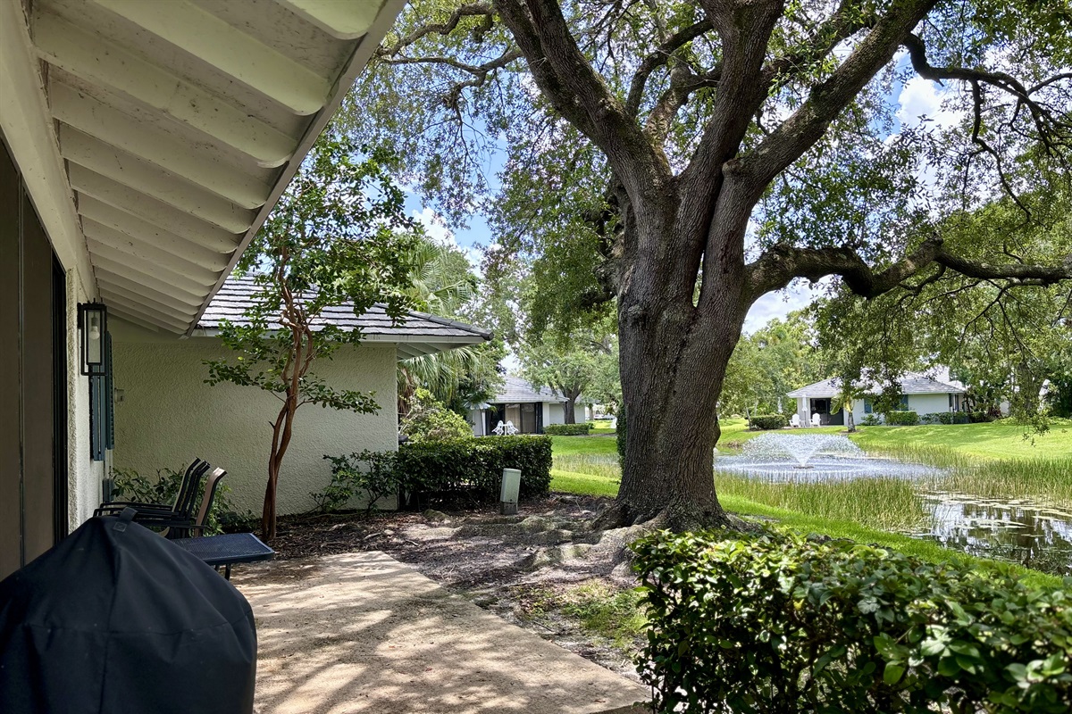 A large tree provides plenty of shade so you can comfortably enjoy sitting outside.
