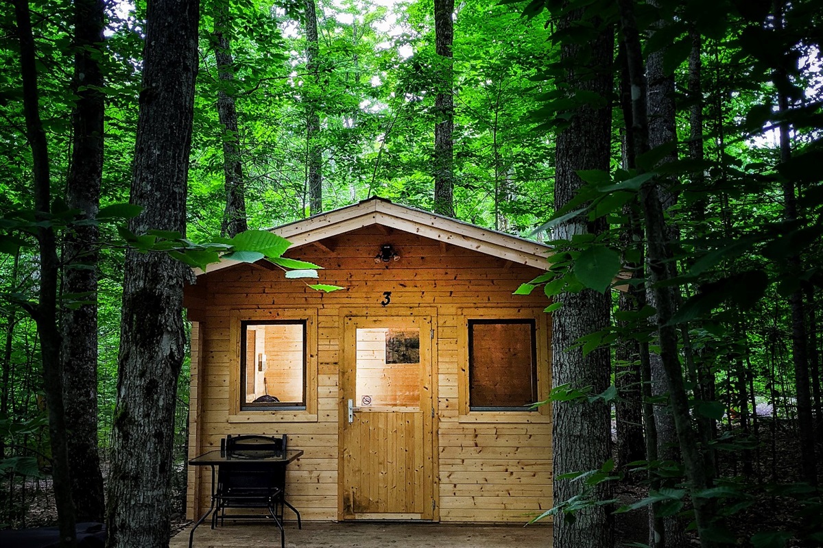 Cabins in the woods