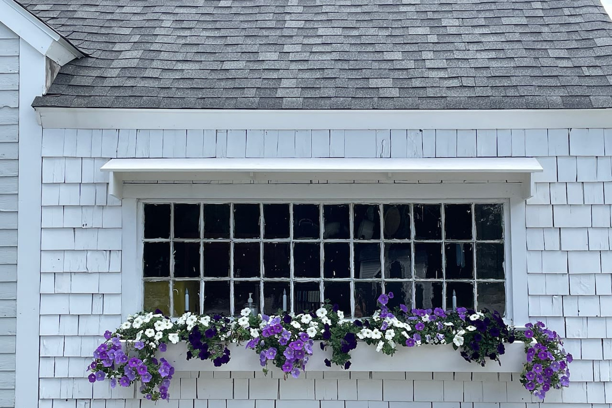 The kitchen window