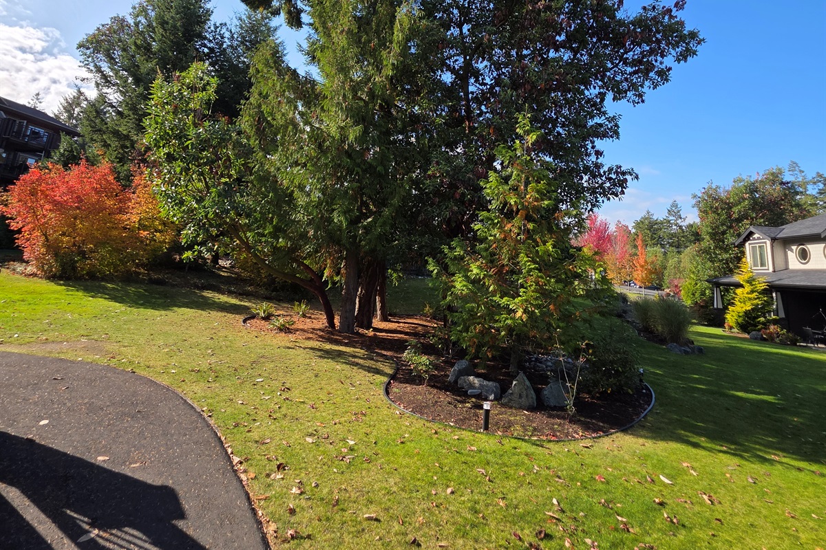 The grounds outside front door of #413.