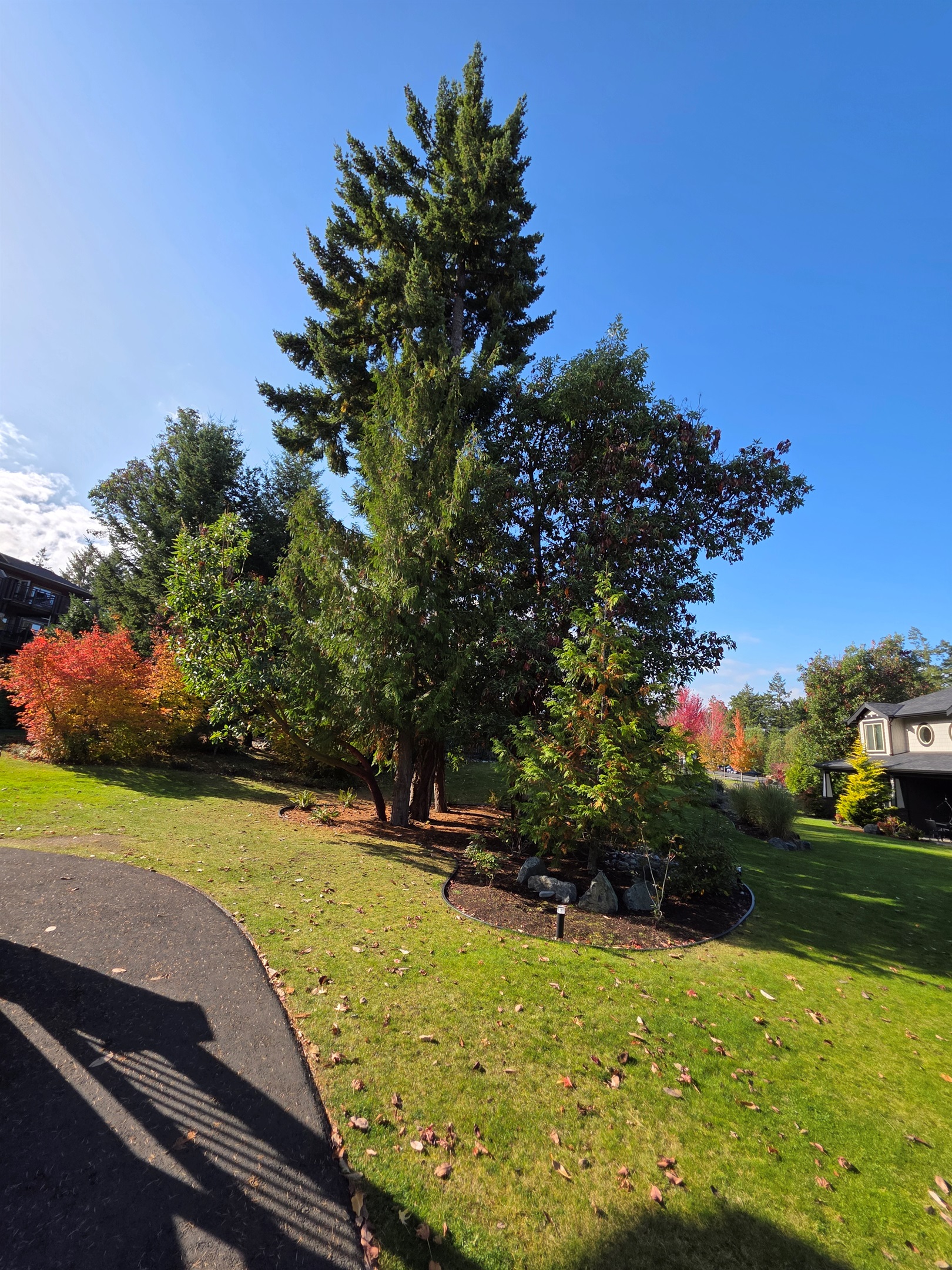 The grounds outside front door of #413.